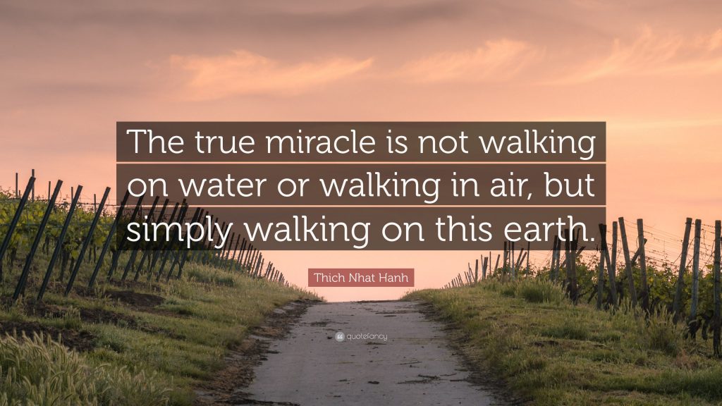 "The True miracle is not walking on water or walking in air, but simply walking on this earth." - Thich Nhat Hanh