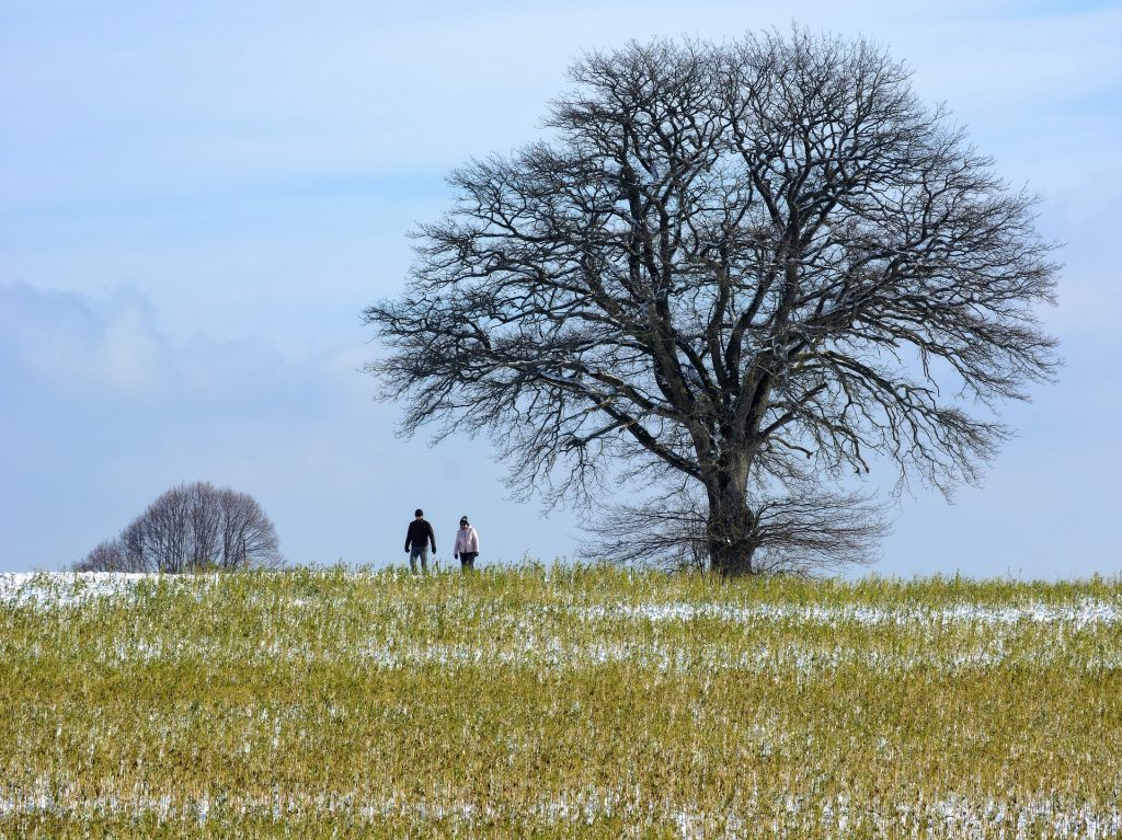 Winter season walking on the Moors