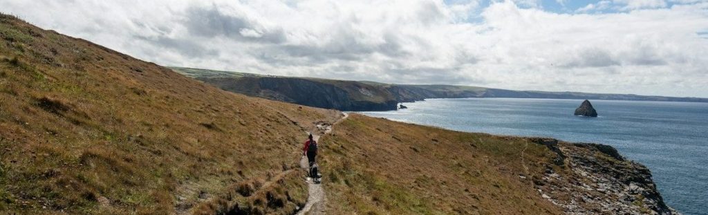 a person walking on a path by the water