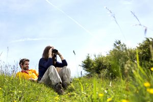 South Downs Way baggage transfers allow you to enjoy your holiday while we do that hard work